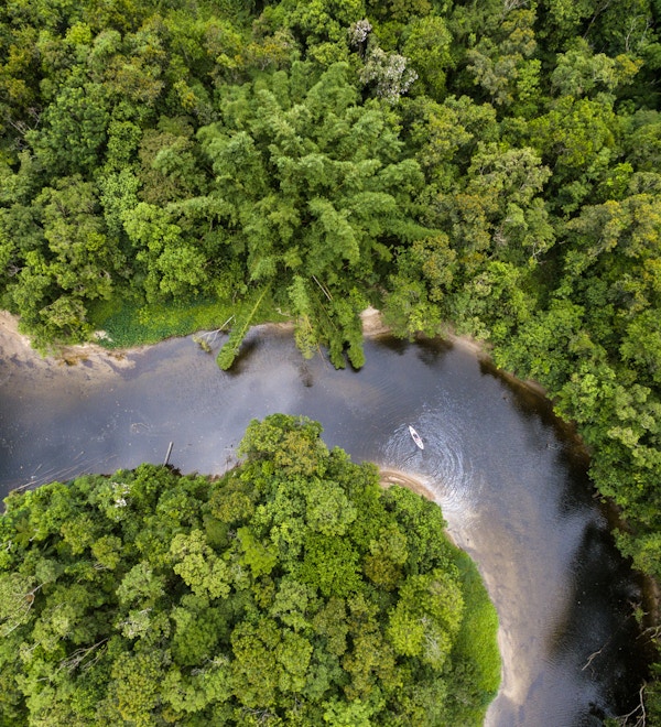 Luftfoto av regnskogen i Brasil