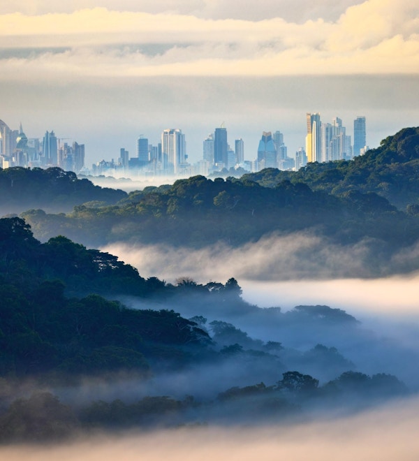 Utsikt over Panama City med regnskog rundt Panamakanalen