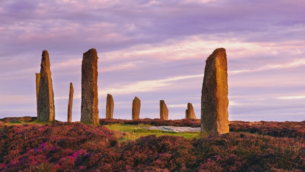 De eldgamle stående steinene fra Ring of Brodgar på Orknøyene utenfor nordkysten av Skottland, tidlig om morgenen ved soloppgang. Det antas at dette monumentet i hjertet av det neolitiske Orkney verdensarvstedet ble bygget for mellom 4000 og 4500 år siden. Opprinnelig bygget med seksti steiner i en sirkel over 100 meter på tvers, og fremdeles står under halvparten av steinene. Den høyeste av steinene er litt over 4,5 meter høy.