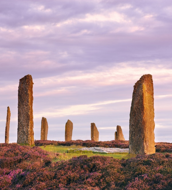 De eldgamle stående steinene fra Ring of Brodgar på Orknøyene utenfor nordkysten av Skottland, tidlig om morgenen ved soloppgang. Det antas at dette monumentet i hjertet av det neolitiske Orkney verdensarvstedet ble bygget for mellom 4000 og 4500 år siden. Opprinnelig bygget med seksti steiner i en sirkel over 100 meter på tvers, og fremdeles står under halvparten av steinene. Den høyeste av steinene er litt over 4,5 meter høy.
