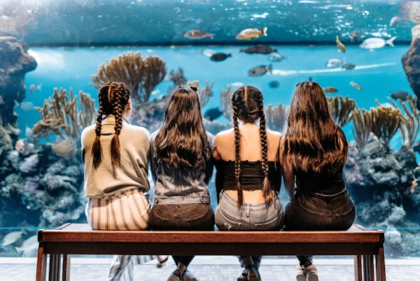 Jenter sitter på en benk og ser inn i et stort akvarium med tropisk fisk