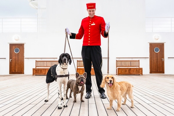 Bell boy med hunder på dekk på Cunard-skip.