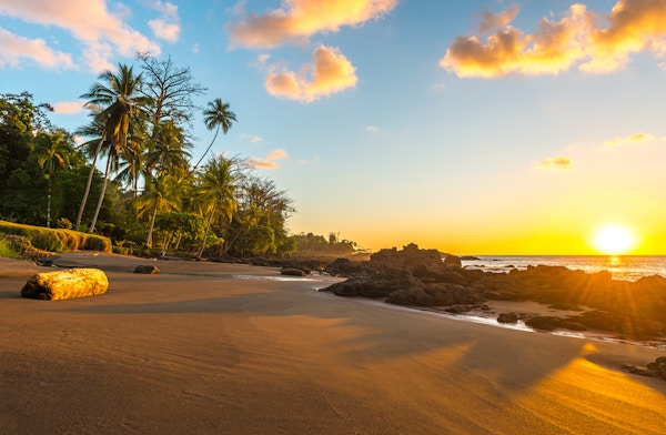 Solnedgang langs stranden i Corcovado nasjonalpark ved Stillehavet med silhuetten av tropiske palmer, Osa-halvøya, Costa Rica, Mellom-Amerika.