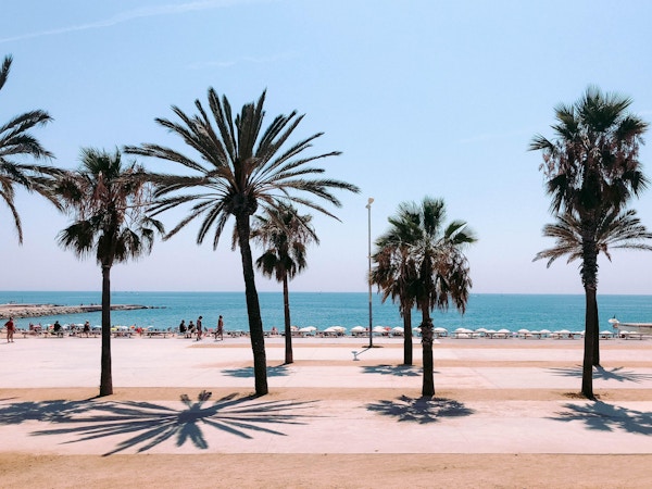 Strand med palmer.