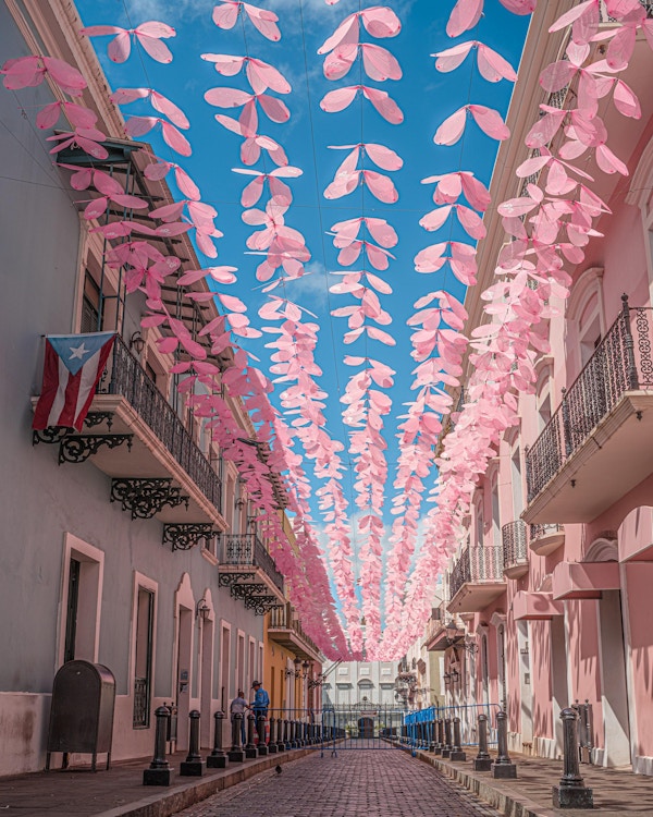 Blå og rosa bygningner og papirkunst i Karibien