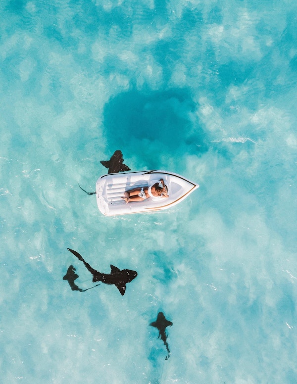 Flyter over sykepleierhaier på Bahamas på Great Exuma. Kameraer yter ikke den blå luminescensen til vannet her rettferdighet.
