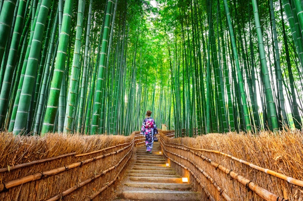Bambusskog. Asiatisk kvinne som bærer japansk tradisjonell kimono ved Bamboo Forest i Kyoto, Japan.