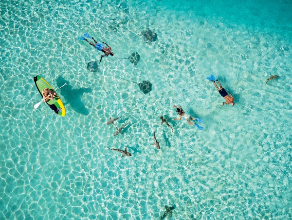 Gjester svømmer, snorkler og bruker strand up paddle board på grunt vann med rokker og småhai