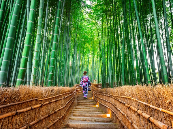 Bambusskog. Asiatisk kvinne som bærer japansk tradisjonell kimono ved Bamboo Forest i Kyoto, Japan.