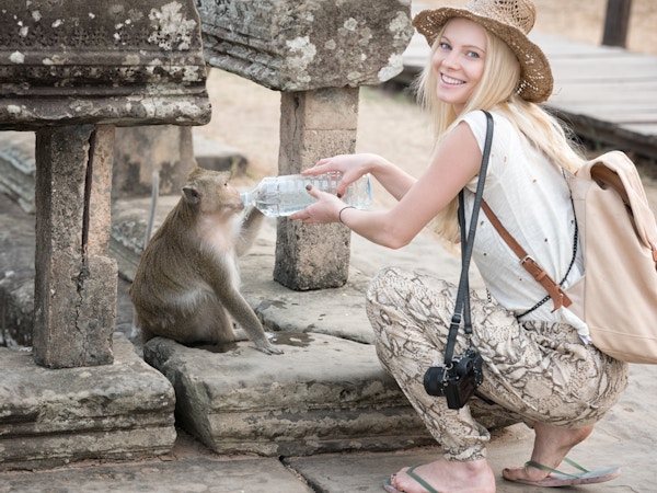 Heldig bilde av en turist som deler vannet sitt med en ape ved Angkor Wat i Kambodsja.
