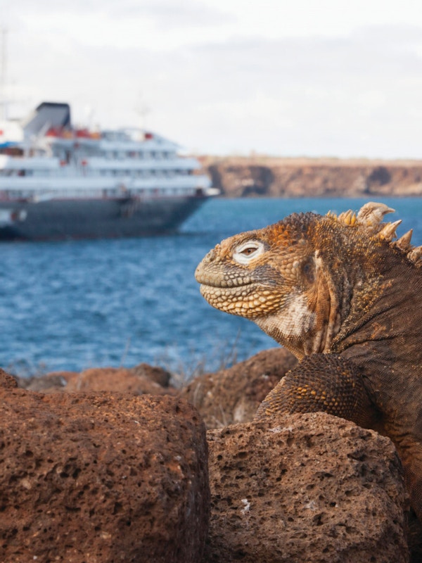 På cruise med Silver Galapagos