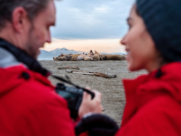 Gjester som ser på sjøløver under en utflukt i Poolepynten, Svalbard