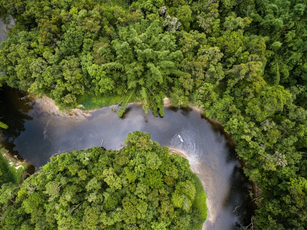 Luftfoto av regnskogen i Brasil