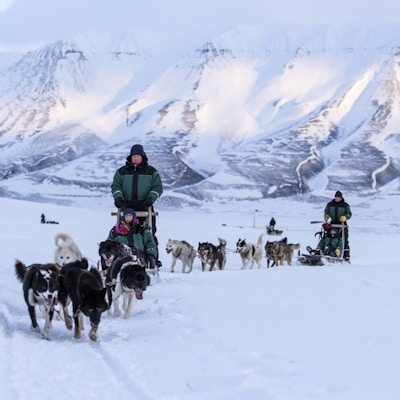 Hundeslede i vinterlandskap med hvite fjell.