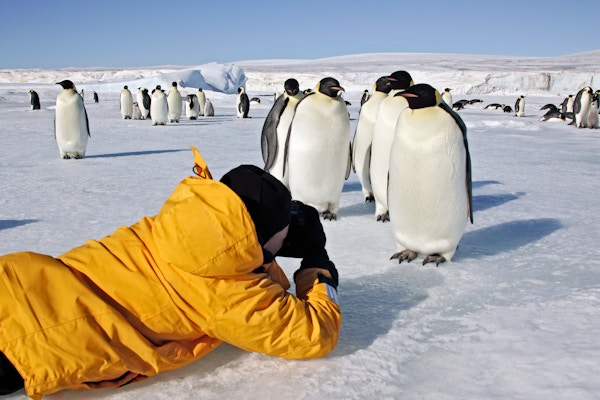 En mann som ligger på isen og fotograferer pingviner