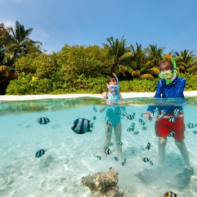 To barn med snorkleutstyr bader i krystallklart vann med tropiske fisker.