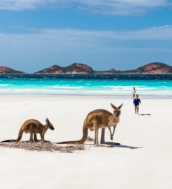 To kenguruer på en strand, men to barn løpende i bakgrunnen