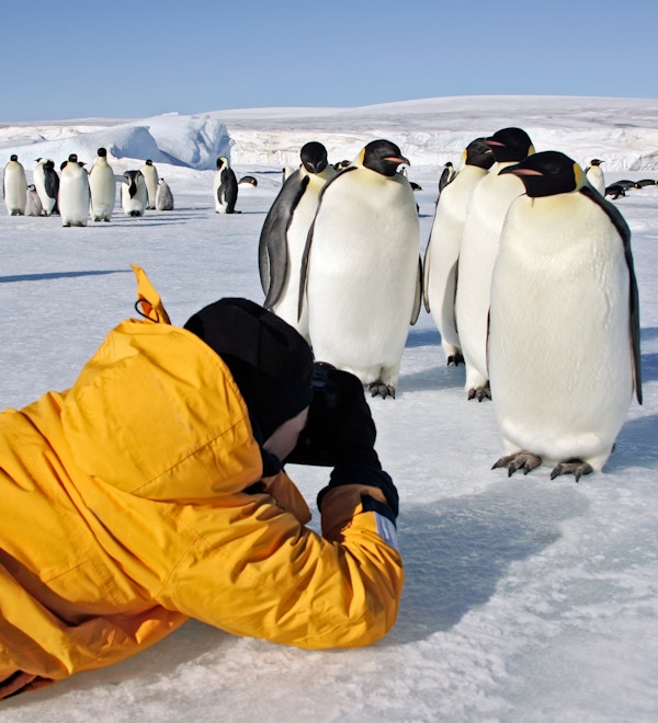 En mann som ligger på isen og fotograferer pingviner