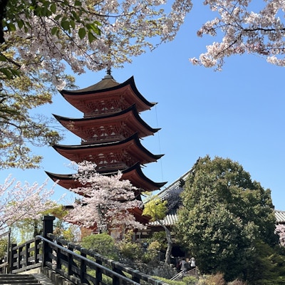Blomstring og tempel i skjønn forening i Japan